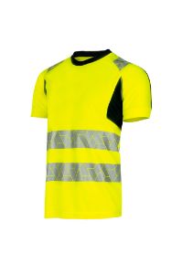 Afbeelding - 20240409-risingstar-jpg